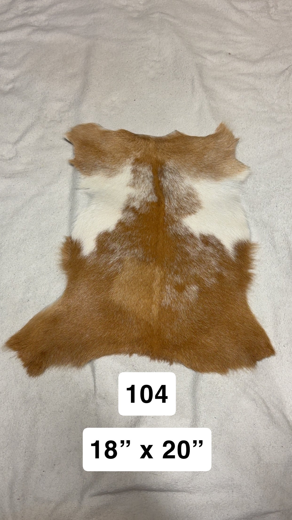 Hide 104