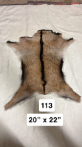 Hide 113