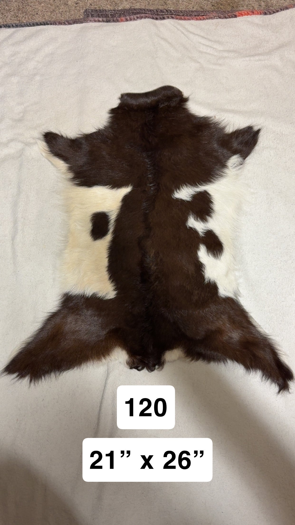 Hide 120