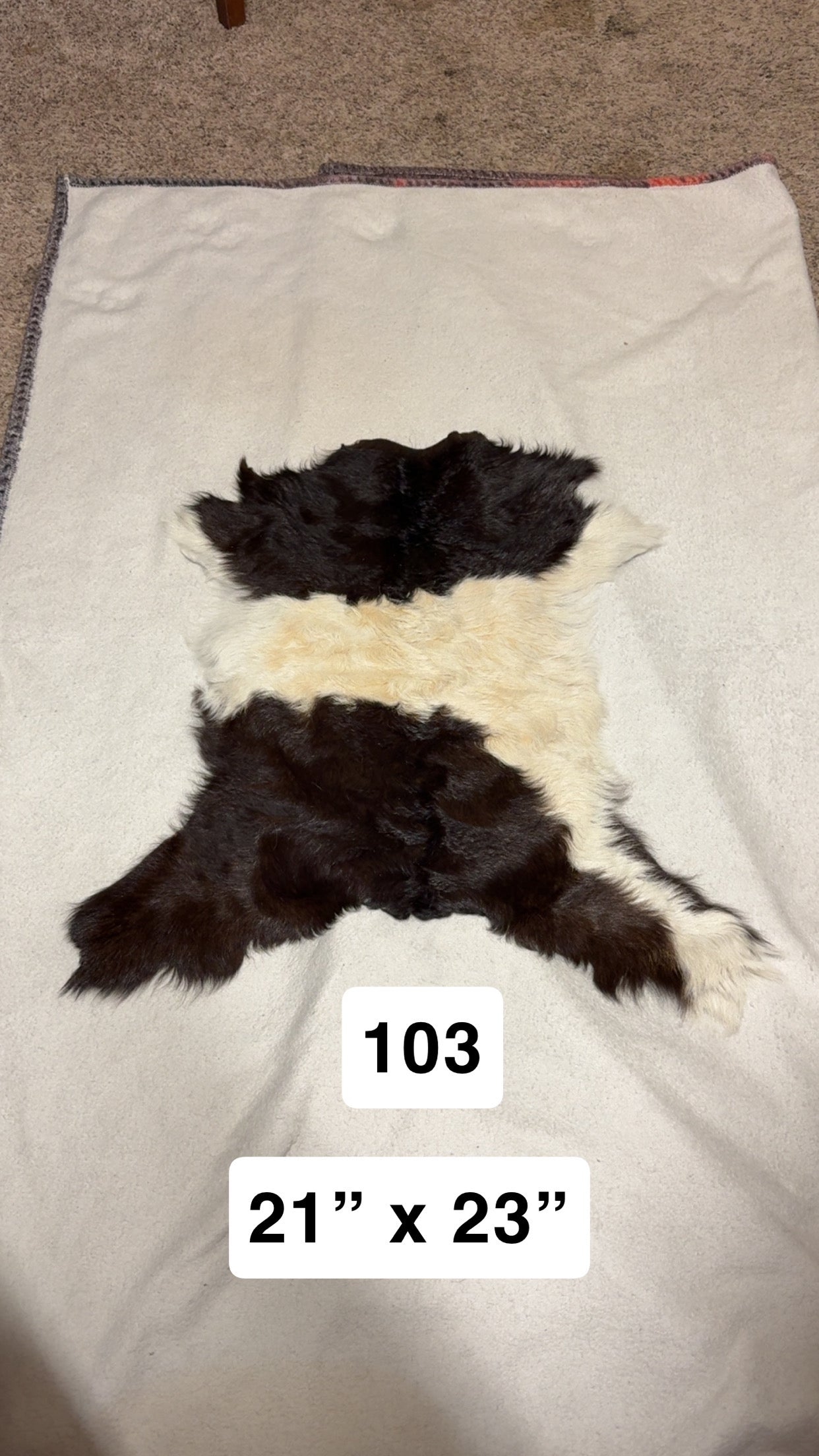 Hide 103