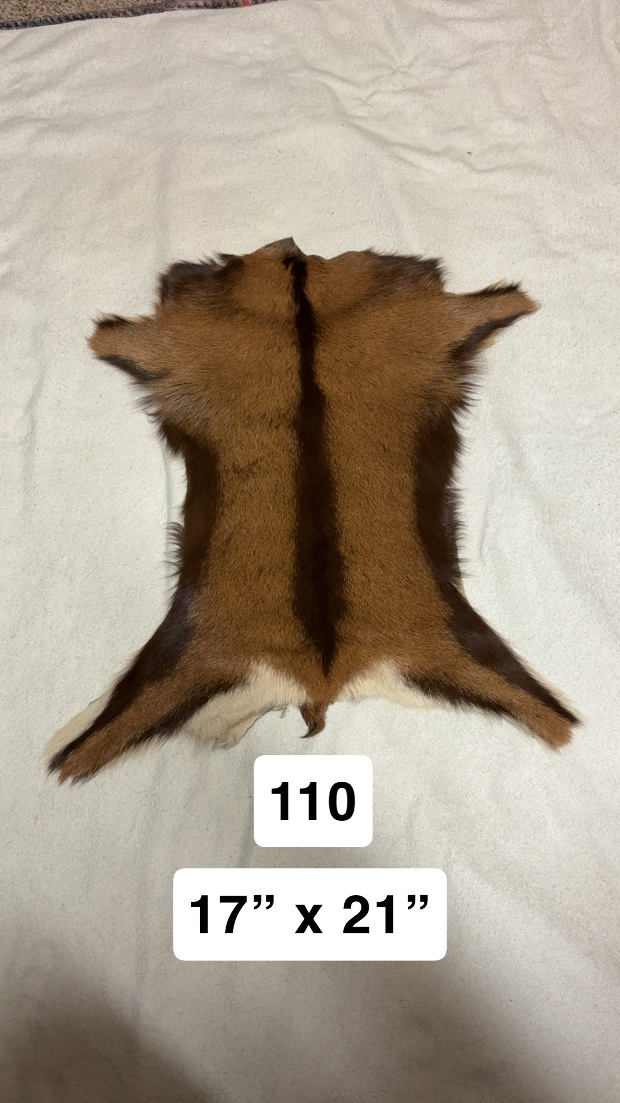 Hide 110