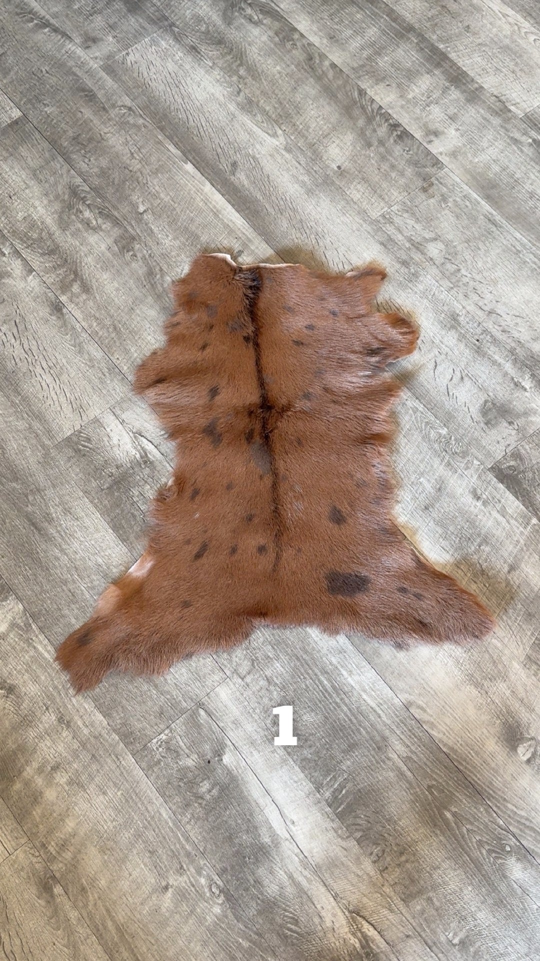 Goat Hide 1