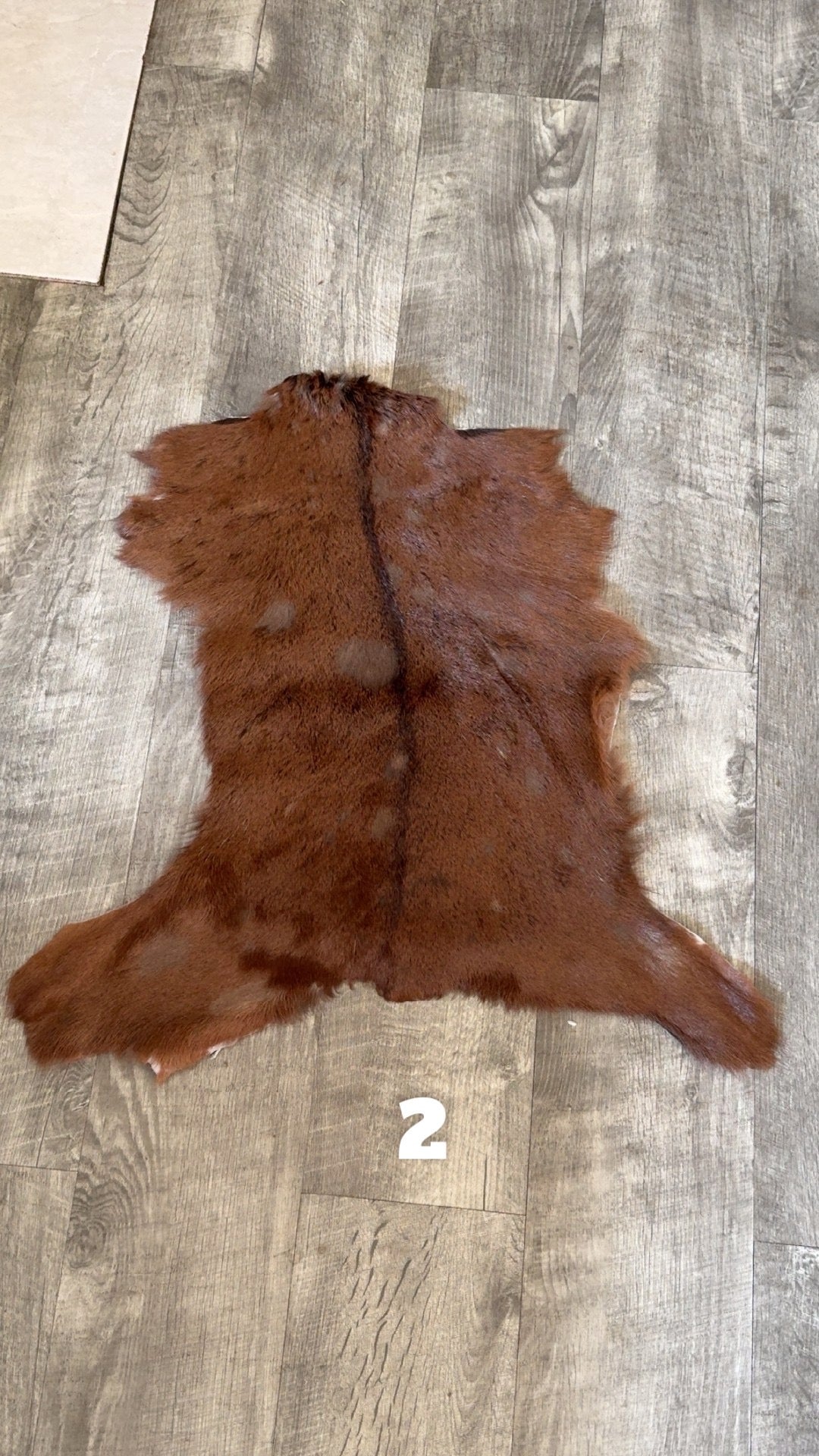 Goat Hide 2