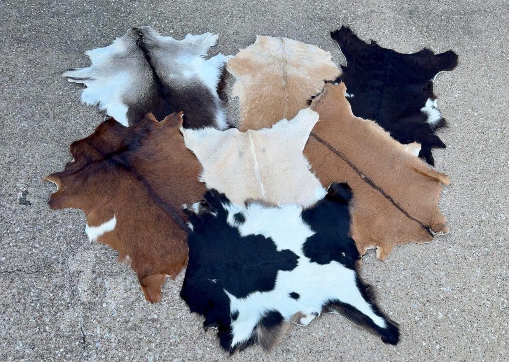 Assorted Goat Hide