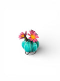 Teal Barrell Cactus
