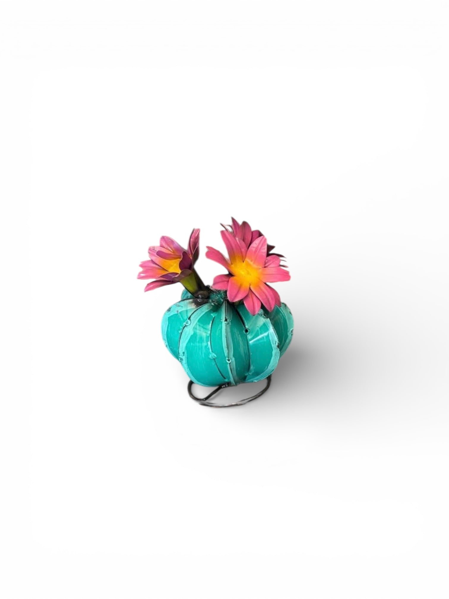 Teal Barrell Cactus