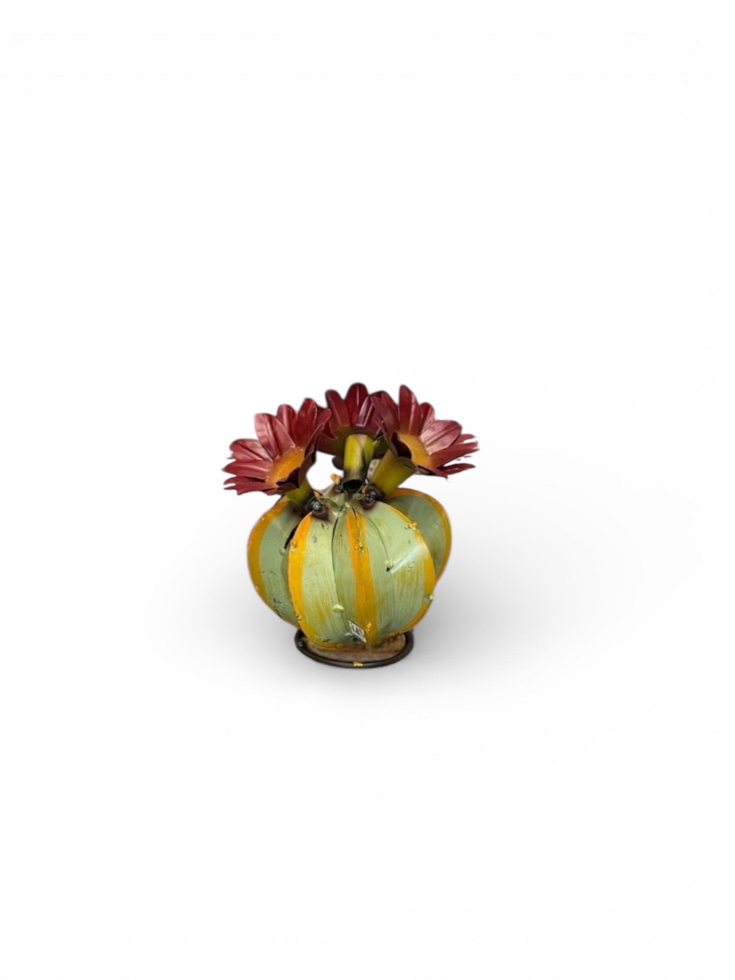 Green Barrell Cactus