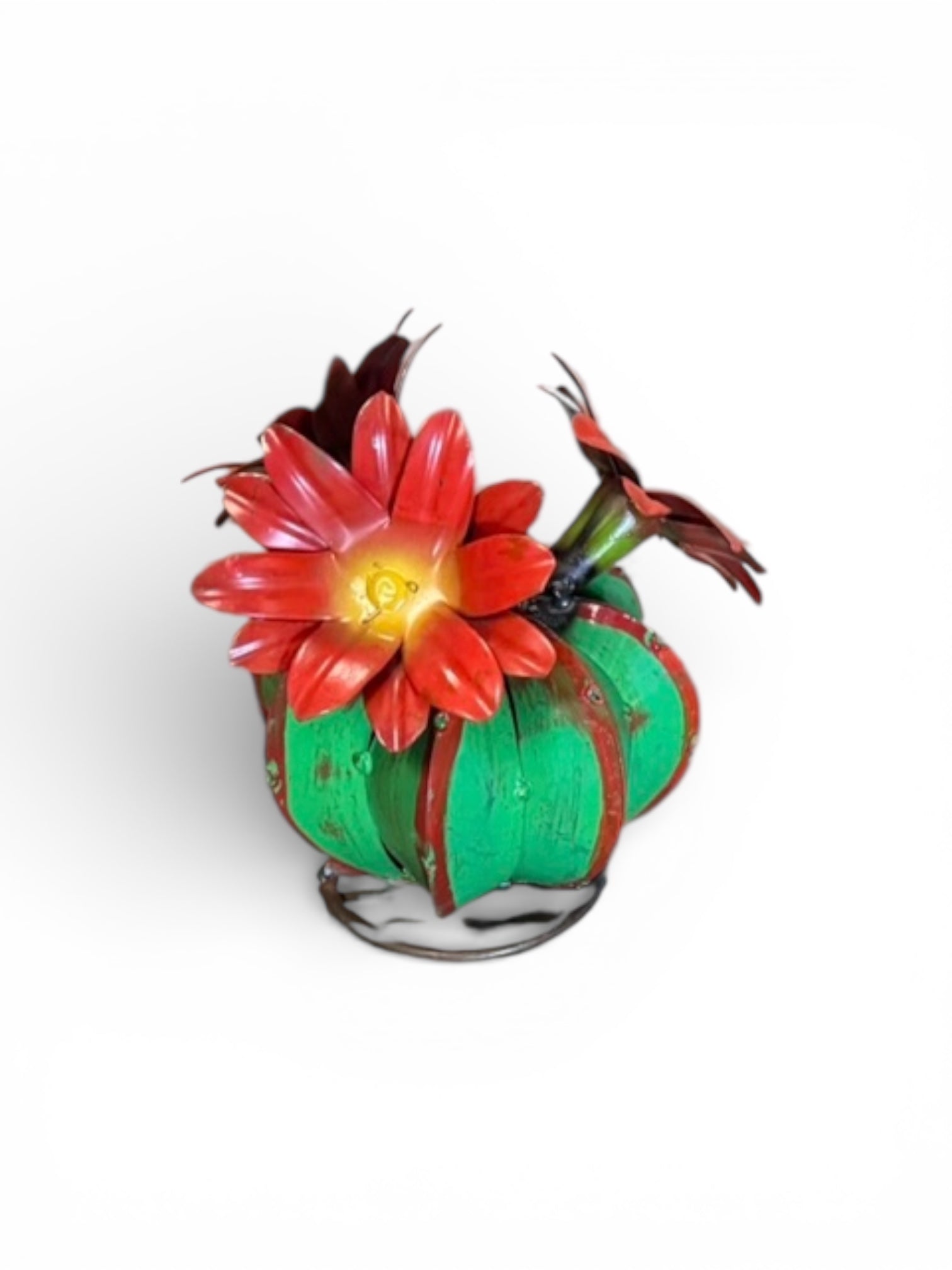 Green Barrell Cactus